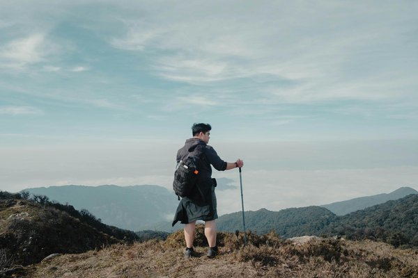What Are the Unique Opportunities for Wildlife Observation on UK Cruises?